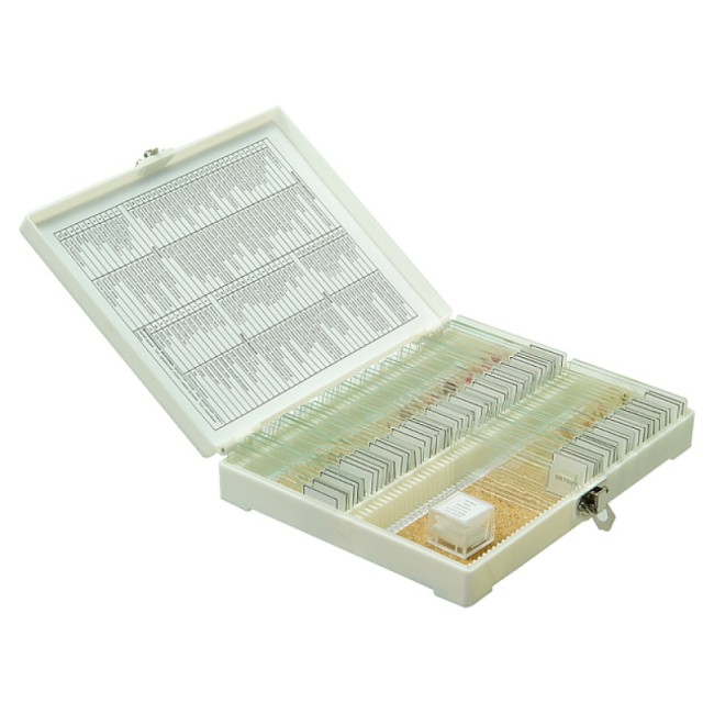 Набор микропрепаратов Микромед №80 Набор микропрепаратов Микромед №80